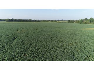 Hancock County, Indiana Farmland - SPECTACULAR REAL ESTATE AUCTION - 1,122+/- ACRES OFFERED IN 24 TRACTS IN HANCOCK COUNTY, INDIANA