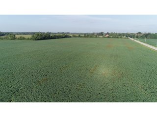 Hancock County, Indiana Farmland - SPECTACULAR REAL ESTATE AUCTION - 1,122+/- ACRES OFFERED IN 24 TRACTS IN HANCOCK COUNTY, INDIANA