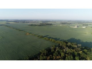 Hancock County, Indiana Farmland - SPECTACULAR REAL ESTATE AUCTION - 1,122+/- ACRES OFFERED IN 24 TRACTS IN HANCOCK COUNTY, INDIANA