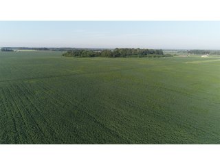 Hancock County, Indiana Farmland - SPECTACULAR REAL ESTATE AUCTION - 1,122+/- ACRES OFFERED IN 24 TRACTS IN HANCOCK COUNTY, INDIANA