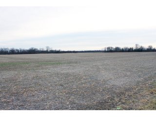 Tract 1 - Madison County, Indiana Farmland - LAND AUCTION - 167+/- ACRES OFFERED IN 4 TRACTS IN MADISON COUNTY, INDIANA