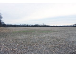 Madison County, Indiana Farmland - LAND AUCTION - 167+/- ACRES OFFERED IN 4 TRACTS IN MADISON COUNTY, INDIANA
