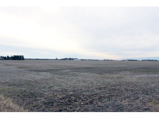 Madison County, Indiana Farmland - LAND AUCTION - 167+/- ACRES OFFERED IN 4 TRACTS IN MADISON COUNTY, INDIANA