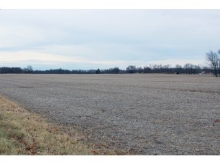 Madison County, Indiana Farmland - LAND AUCTION - 167+/- ACRES OFFERED IN 4 TRACTS IN MADISON COUNTY, INDIANA
