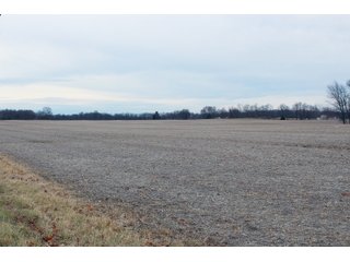 Tract 4 - Madison County, Indiana Farmland - LAND AUCTION - 167+/- ACRES OFFERED IN 4 TRACTS IN MADISON COUNTY, INDIANA