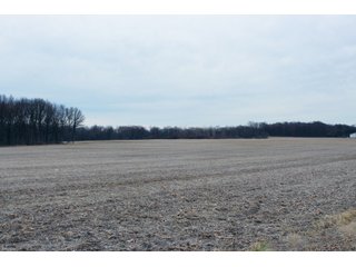 Madison County, Indiana Farmland - LAND AUCTION - 167+/- ACRES OFFERED IN 4 TRACTS IN MADISON COUNTY, INDIANA