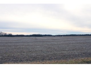 Madison County, Indiana Farmland - LAND AUCTION - 167+/- ACRES OFFERED IN 4 TRACTS IN MADISON COUNTY, INDIANA