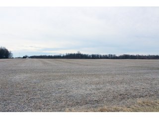 Tract 2 - Madison County, Indiana Farmland - LAND AUCTION - 167+/- ACRES OFFERED IN 4 TRACTS IN MADISON COUNTY, INDIANA