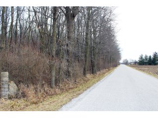Tract 3 - Madison County, Indiana Farmland - LAND AUCTION - 167+/- ACRES OFFERED IN 4 TRACTS IN MADISON COUNTY, INDIANA