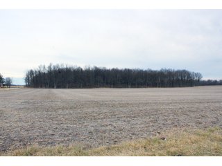 Madison County, Indiana Farmland - LAND AUCTION - 167+/- ACRES OFFERED IN 4 TRACTS IN MADISON COUNTY, INDIANA
