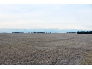 Madison County, Indiana Farmland - LAND AUCTION - 167+/- ACRES OFFERED IN 4 TRACTS IN MADISON COUNTY, INDIANA