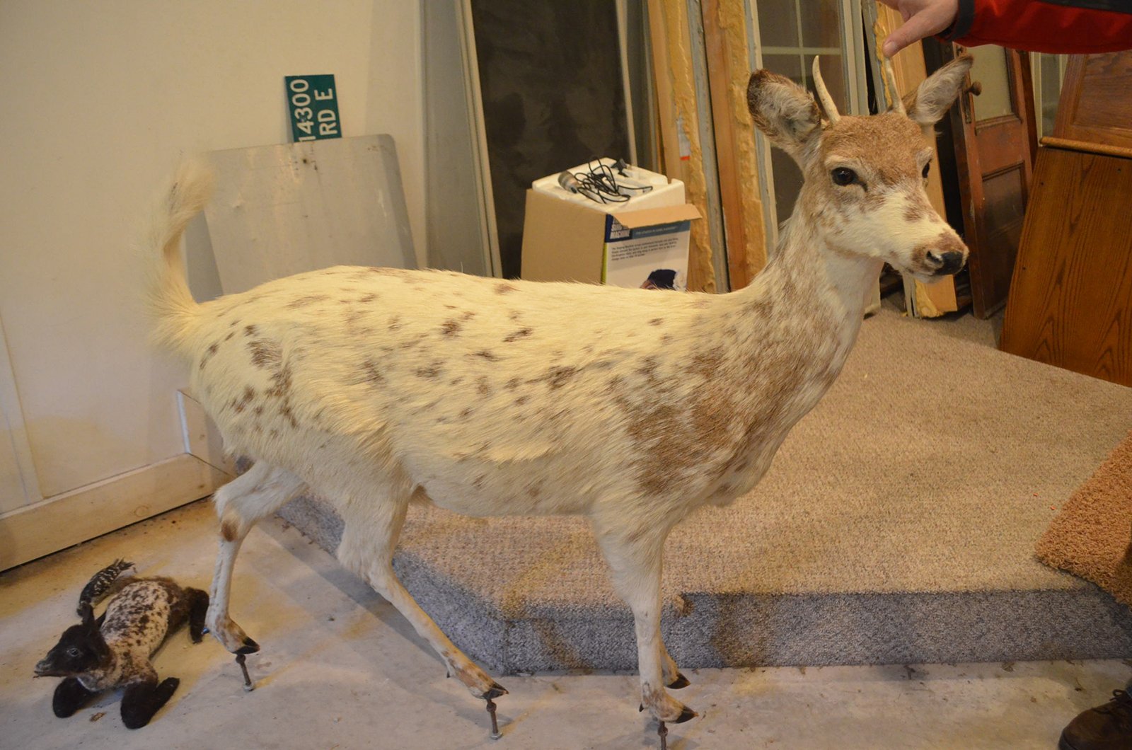 Property photo 124 - PERSONAL PROPERTY AUCTION IN ALLEN COUNTY, INDIANA