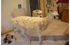 Property photo 124 - PERSONAL PROPERTY AUCTION IN ALLEN COUNTY, INDIANA