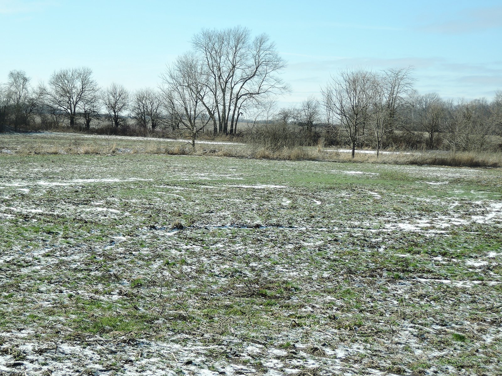 Property photo 2 - AUCTION IS CANCELED!!
LAND AUCTION - 33+/- ACRES IN 1 TRACT IN HENRY COUNTY, INDIANA