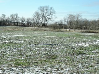Property photo 2 - AUCTION IS CANCELED!!
LAND AUCTION - 33+/- ACRES IN 1 TRACT IN HENRY COUNTY, INDIANA