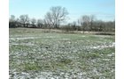 Property photo 2 - AUCTION IS CANCELED!!
LAND AUCTION - 33+/- ACRES IN 1 TRACT IN HENRY COUNTY, INDIANA
