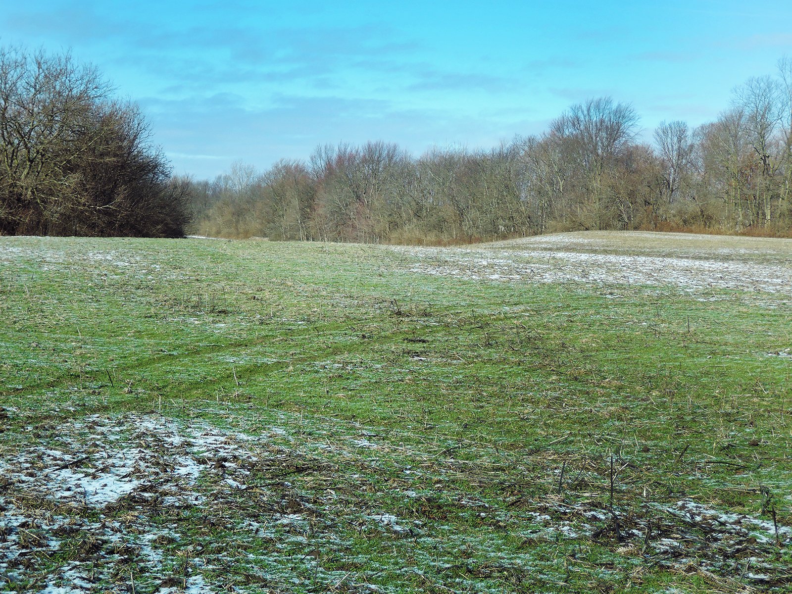 Property photo 3 - AUCTION IS CANCELED!!
LAND AUCTION - 33+/- ACRES IN 1 TRACT IN HENRY COUNTY, INDIANA