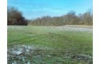 Property photo 3 - AUCTION IS CANCELED!!
LAND AUCTION - 33+/- ACRES IN 1 TRACT IN HENRY COUNTY, INDIANA