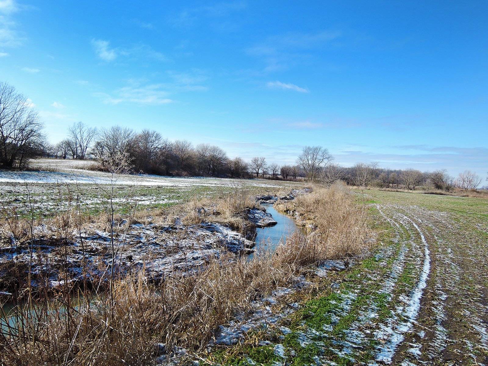 Property photo 4 - AUCTION IS CANCELED!!
LAND AUCTION - 33+/- ACRES IN 1 TRACT IN HENRY COUNTY, INDIANA