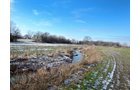 Property photo 4 - AUCTION IS CANCELED!!
LAND AUCTION - 33+/- ACRES IN 1 TRACT IN HENRY COUNTY, INDIANA