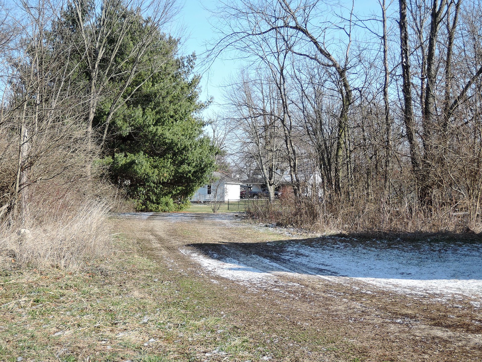 Property photo 5 - AUCTION IS CANCELED!!
LAND AUCTION - 33+/- ACRES IN 1 TRACT IN HENRY COUNTY, INDIANA