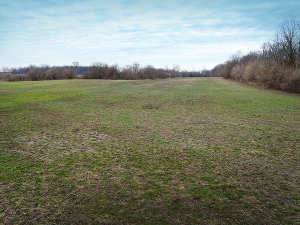 AUCTION IS CANCELED!!
LAND AUCTION - 33+/- ACRES IN 1 TRACT IN HENRY COUNTY, INDIANA