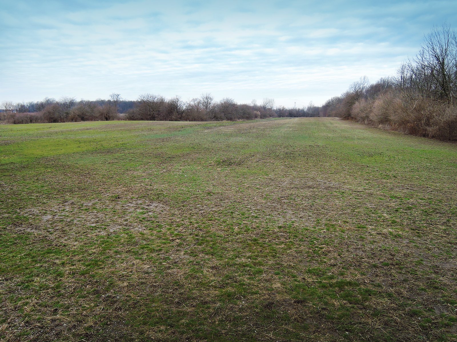 Property photo 1 - AUCTION IS CANCELED!!
LAND AUCTION - 33+/- ACRES IN 1 TRACT IN HENRY COUNTY, INDIANA
