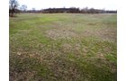 Property photo 6 - AUCTION IS CANCELED!!
LAND AUCTION - 33+/- ACRES IN 1 TRACT IN HENRY COUNTY, INDIANA