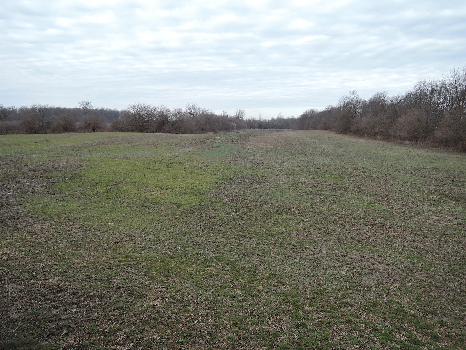 Property photo 7 - AUCTION IS CANCELED!!
LAND AUCTION - 33+/- ACRES IN 1 TRACT IN HENRY COUNTY, INDIANA