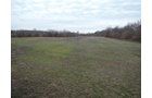 Property photo 7 - AUCTION IS CANCELED!!
LAND AUCTION - 33+/- ACRES IN 1 TRACT IN HENRY COUNTY, INDIANA