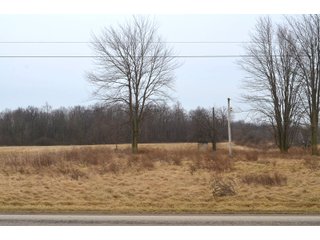 Allen County, Indiana Farmland - *** AUCTION RESCHEDULED *** SIMULCAST PHONE BID & ONLINE FARMLAND AUCTION - 62.5+/- ACRES OFFERED IN 4 TRACTS IN ALLEN COUNTY, INDIANA