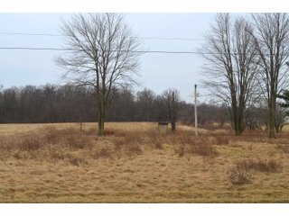Allen County, Indiana Farmland - *** AUCTION RESCHEDULED *** SIMULCAST PHONE BID & ONLINE FARMLAND AUCTION - 62.5+/- ACRES OFFERED IN 4 TRACTS IN ALLEN COUNTY, INDIANA