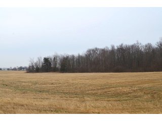 Allen County, Indiana Farmland - *** AUCTION RESCHEDULED *** SIMULCAST PHONE BID & ONLINE FARMLAND AUCTION - 62.5+/- ACRES OFFERED IN 4 TRACTS IN ALLEN COUNTY, INDIANA