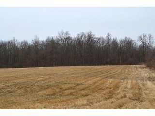 Allen County, Indiana Farmland - *** AUCTION RESCHEDULED *** SIMULCAST PHONE BID & ONLINE FARMLAND AUCTION - 62.5+/- ACRES OFFERED IN 4 TRACTS IN ALLEN COUNTY, INDIANA