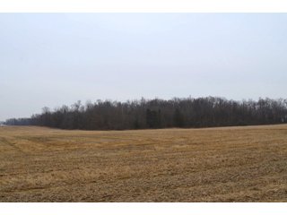 Allen County, Indiana Farmland - *** AUCTION RESCHEDULED *** SIMULCAST PHONE BID & ONLINE FARMLAND AUCTION - 62.5+/- ACRES OFFERED IN 4 TRACTS IN ALLEN COUNTY, INDIANA