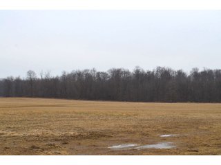 Allen County, Indiana Farmland - *** AUCTION RESCHEDULED *** SIMULCAST PHONE BID & ONLINE FARMLAND AUCTION - 62.5+/- ACRES OFFERED IN 4 TRACTS IN ALLEN COUNTY, INDIANA