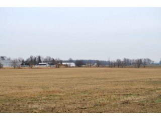 Allen County, Indiana Farmland - *** AUCTION RESCHEDULED *** SIMULCAST PHONE BID & ONLINE FARMLAND AUCTION - 62.5+/- ACRES OFFERED IN 4 TRACTS IN ALLEN COUNTY, INDIANA