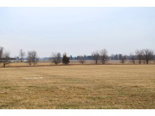 Allen County, Indiana Farmland - *** AUCTION RESCHEDULED *** SIMULCAST PHONE BID & ONLINE FARMLAND AUCTION - 62.5+/- ACRES OFFERED IN 4 TRACTS IN ALLEN COUNTY, INDIANA