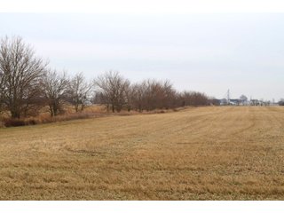 Allen County, Indiana Farmland - *** AUCTION RESCHEDULED *** SIMULCAST PHONE BID & ONLINE FARMLAND AUCTION - 62.5+/- ACRES OFFERED IN 4 TRACTS IN ALLEN COUNTY, INDIANA
