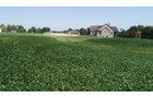 Property photo 8 - REAL ESTATE AUCTION - 13+/- ACRES IN 2 TRACTS IN ALLEN COUNTY, INDIANA