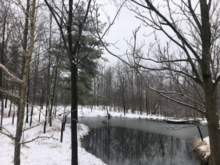 Pond in Preble County, Ohio - *** BIDDING WILL BE VIA PHONE OR INTERNET *** LAND AUCTION - 68+/- ACRES OFFERED IN 2 TRACTS IN PREBLE COUNTY, OHIO