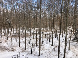 Preble County, Ohio Woods - *** BIDDING WILL BE VIA PHONE OR INTERNET *** LAND AUCTION - 68+/- ACRES OFFERED IN 2 TRACTS IN PREBLE COUNTY, OHIO