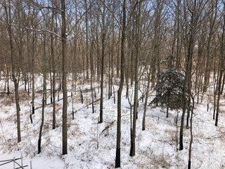 Preble County, Ohio Woods - *** BIDDING WILL BE VIA PHONE OR INTERNET *** LAND AUCTION - 68+/- ACRES OFFERED IN 2 TRACTS IN PREBLE COUNTY, OHIO