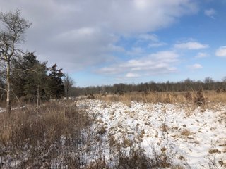Preble County, Ohio Farmland - *** BIDDING WILL BE VIA PHONE OR INTERNET *** LAND AUCTION - 68+/- ACRES OFFERED IN 2 TRACTS IN PREBLE COUNTY, OHIO