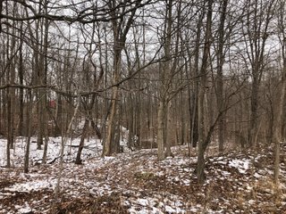 Preble County, Ohio Woods - *** BIDDING WILL BE VIA PHONE OR INTERNET *** LAND AUCTION - 68+/- ACRES OFFERED IN 2 TRACTS IN PREBLE COUNTY, OHIO