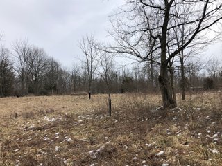 Preble County, Ohio Woods - *** BIDDING WILL BE VIA PHONE OR INTERNET *** LAND AUCTION - 68+/- ACRES OFFERED IN 2 TRACTS IN PREBLE COUNTY, OHIO