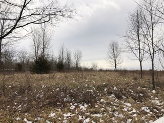 Preble County, Ohio Woods - *** BIDDING WILL BE VIA PHONE OR INTERNET *** LAND AUCTION - 68+/- ACRES OFFERED IN 2 TRACTS IN PREBLE COUNTY, OHIO