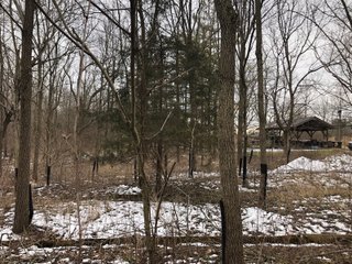 Preble County, Ohio Woods - *** BIDDING WILL BE VIA PHONE OR INTERNET *** LAND AUCTION - 68+/- ACRES OFFERED IN 2 TRACTS IN PREBLE COUNTY, OHIO
