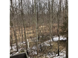 Preble County, Ohio Woods - *** BIDDING WILL BE VIA PHONE OR INTERNET *** LAND AUCTION - 68+/- ACRES OFFERED IN 2 TRACTS IN PREBLE COUNTY, OHIO
