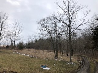 Preble County, Ohio Farmland - *** BIDDING WILL BE VIA PHONE OR INTERNET *** LAND AUCTION - 68+/- ACRES OFFERED IN 2 TRACTS IN PREBLE COUNTY, OHIO